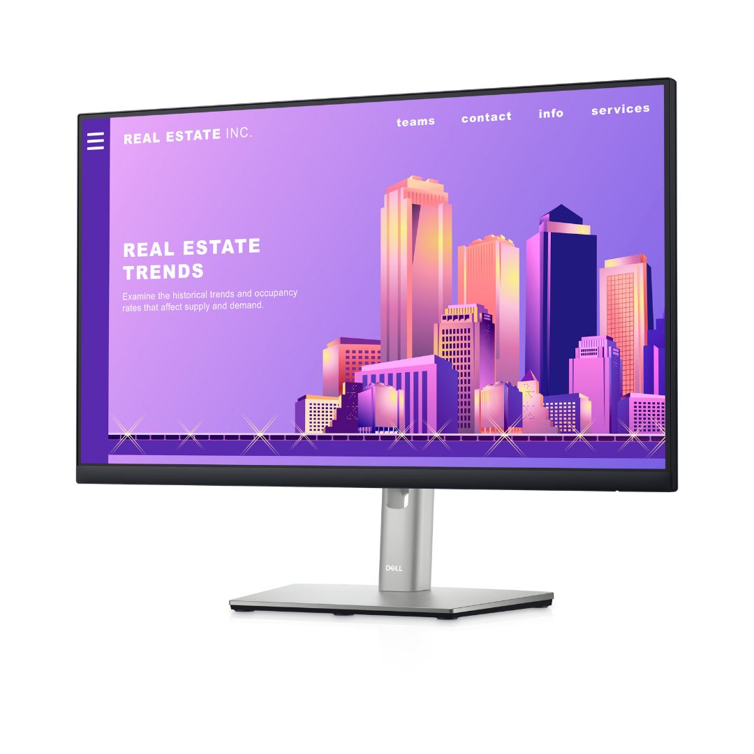 Dell 24 P2422H FHD (1920x1080) 60Hz IPS Flat