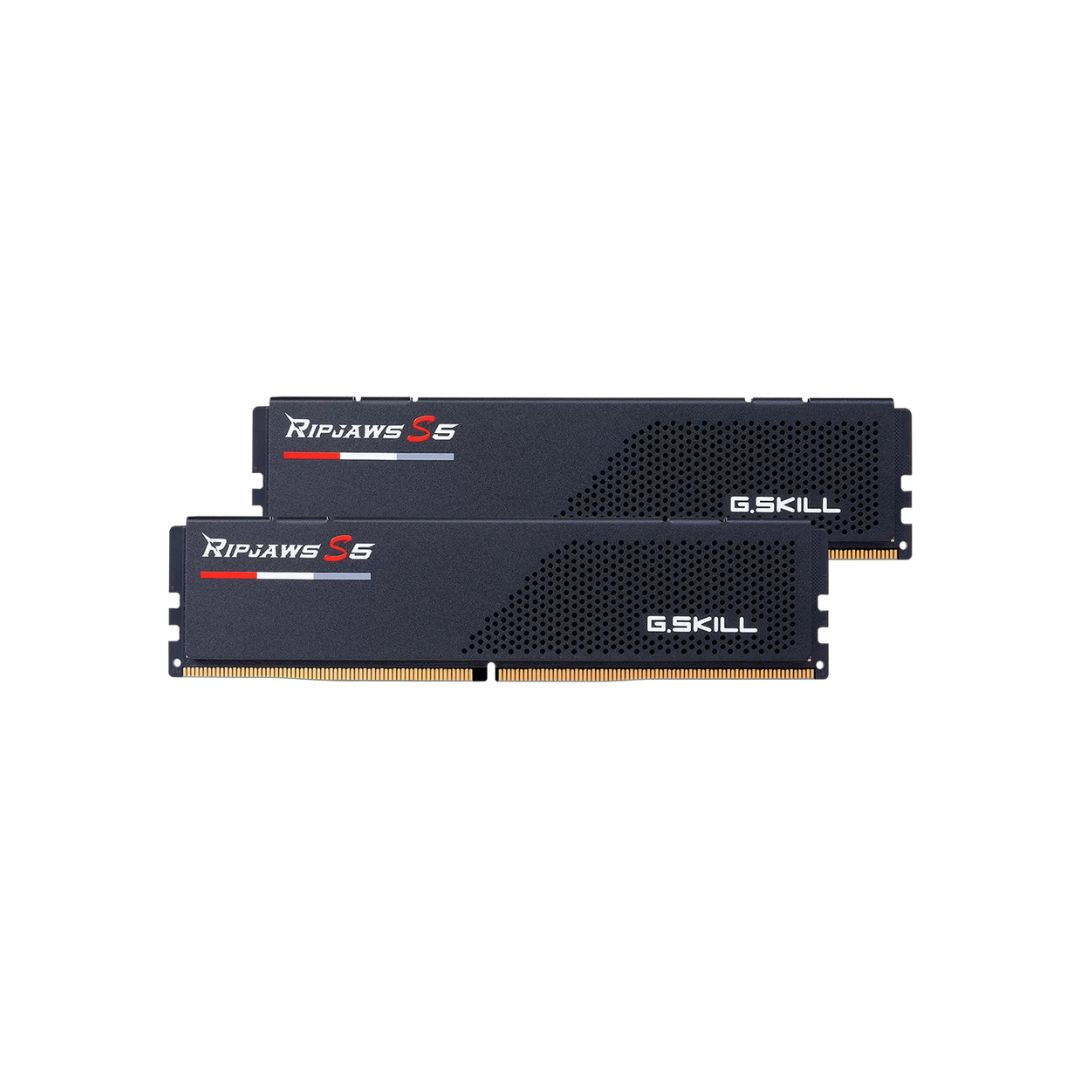 G.SKILL Ripjaws S5 DDR5 16GB (1x16GB) 6000MHz CL36,XMP & EXPO - Black