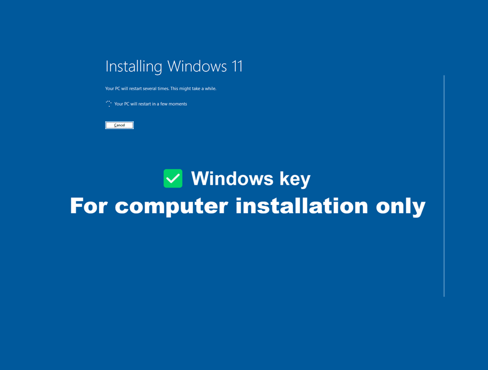 Windows 11 Pro Original License Key (Win 11), With device Setup