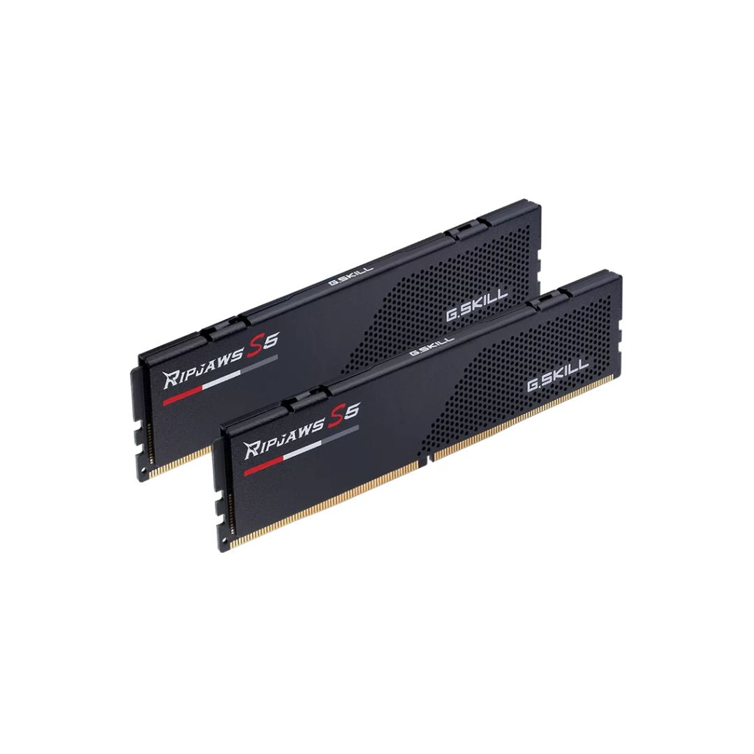G.SKILL Ripjaws S5 DDR5 16GB (1x16GB) 6000MHz CL36,XMP & EXPO - Black