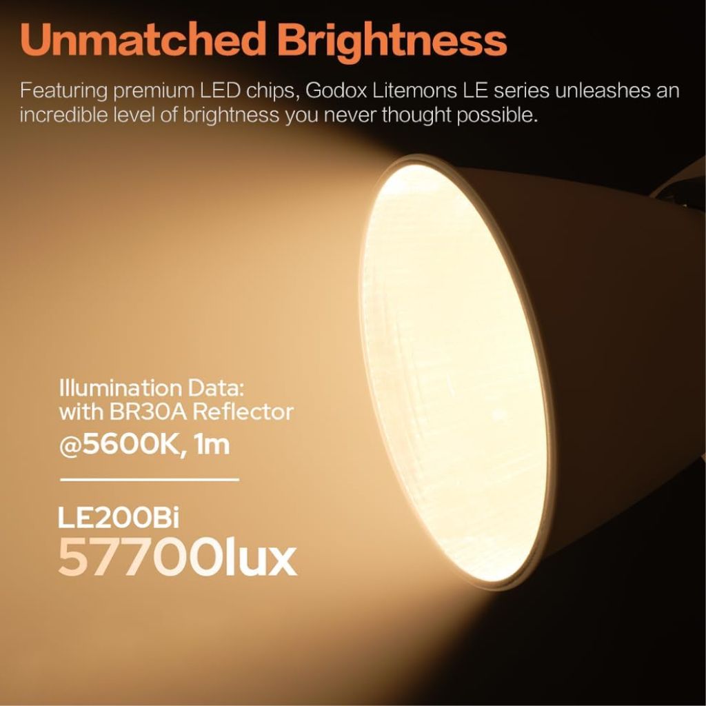 Godox LE200Bi Litemons Bi-Color LED Video Light