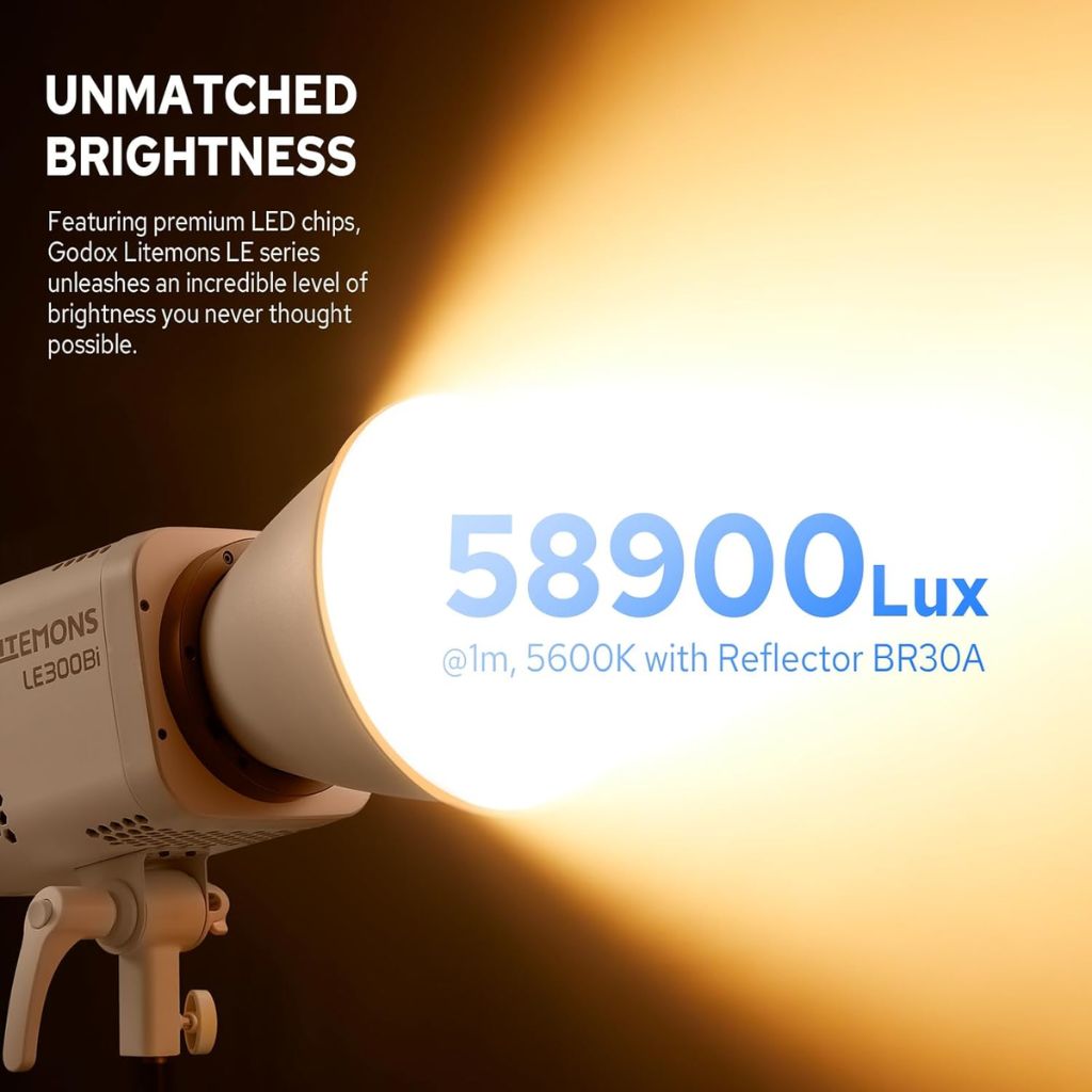 Godox LE300Bi Litemons Bi-Color LED Video Light – White